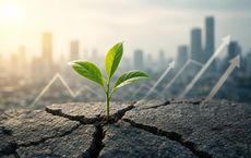 Article Image for How Startups Build Resilience in Lean Markets