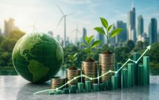 Article Image for Sustainability Finance Trends for Global Investors
